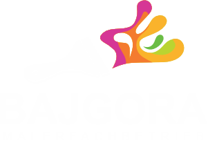 Malerfachbetrieb Bajgora